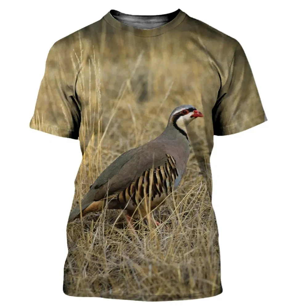 Hunting Quail - 새로운 여름 위장 사냥 동물 메추라기